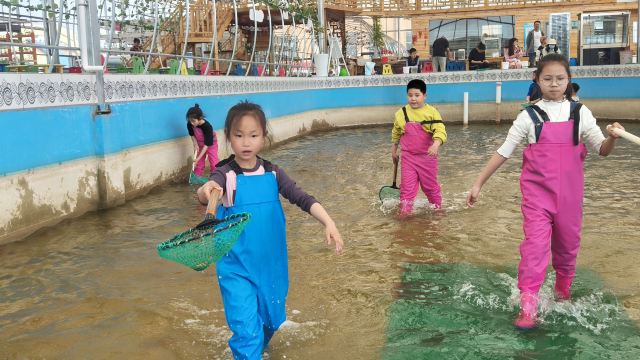 宁夏塞上渔乡生态观光园旅行图片 4