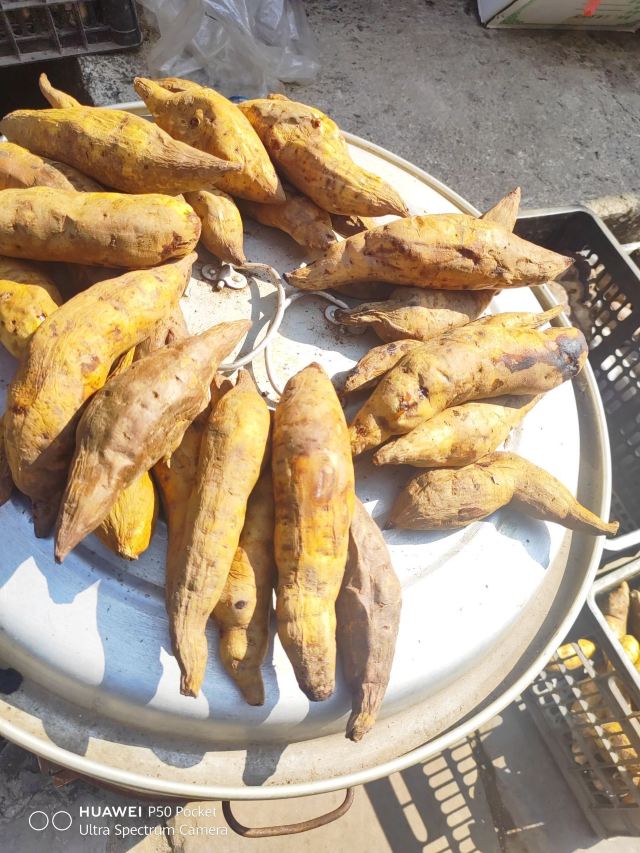 那柯里茶马驿站旅行图片 6