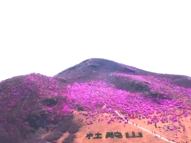 杜鹃山风景区旅行图片 4
