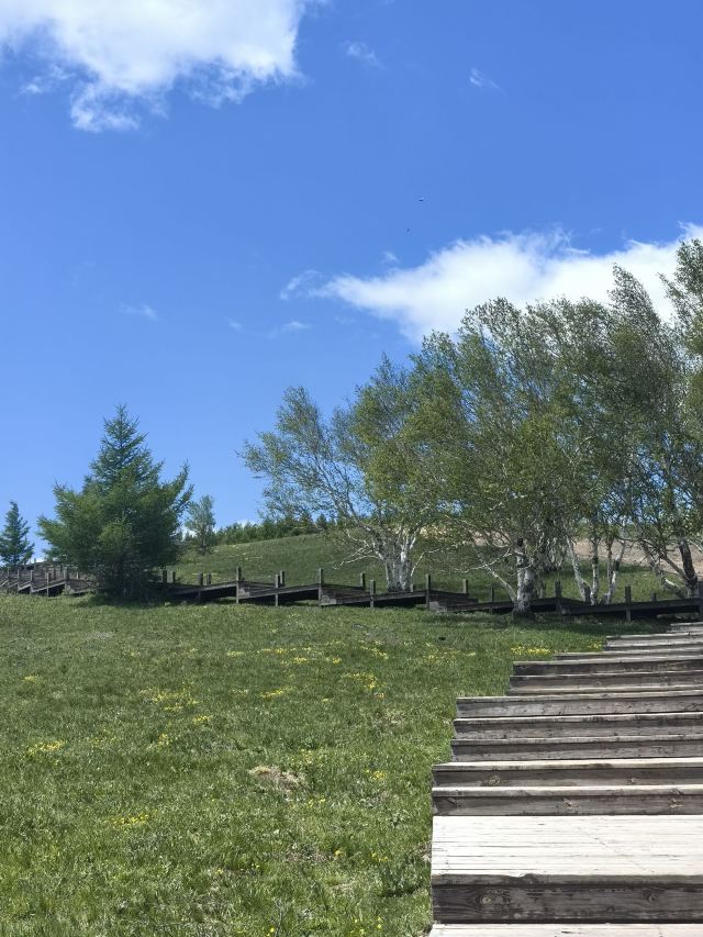 黄岗梁国家森林公园旅行图片 13