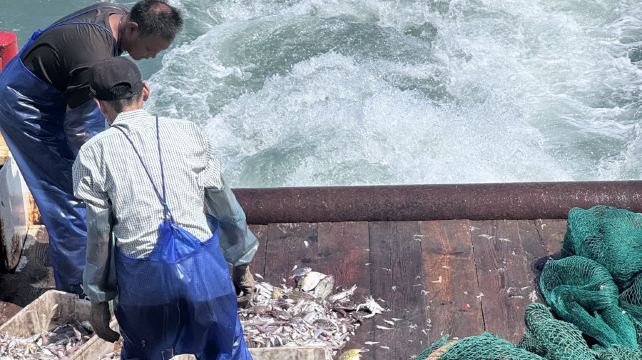 朱家尖白沙码头出海捕鱼