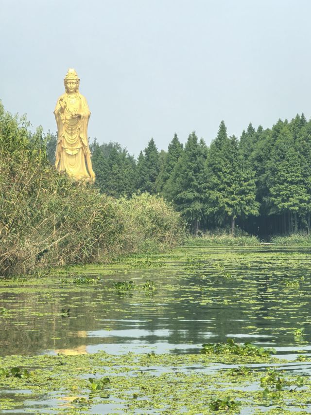 大纵湖旅游度假区旅行图片 3