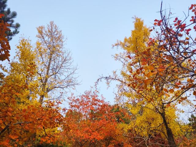香山公园旅行图片 2
