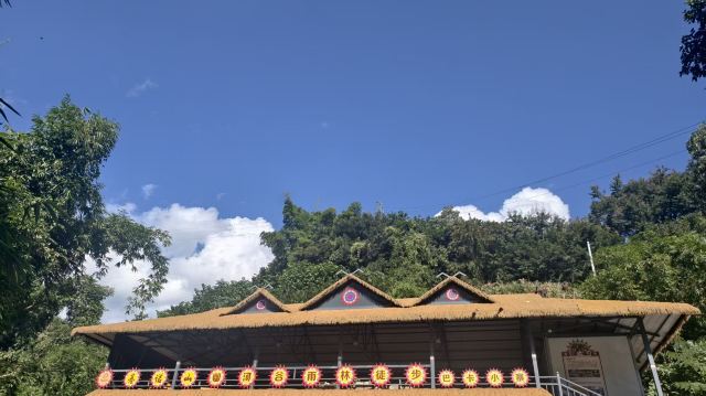 基诺山幽河谷雨林旅行图片 3