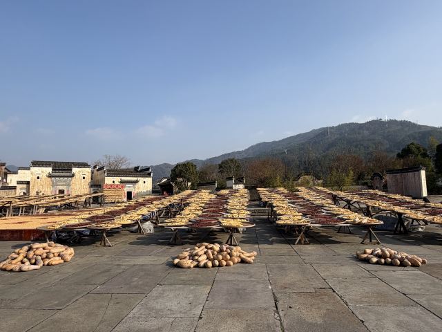 林坑古村落旅行图片 1