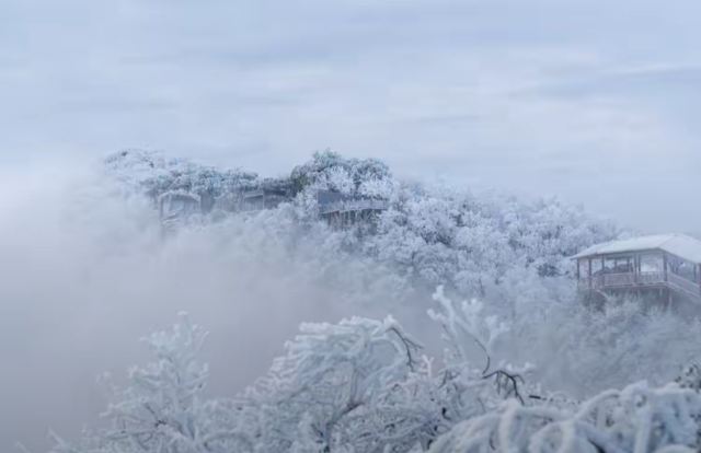 云上草原国际山地旅游度假区旅行图片 2