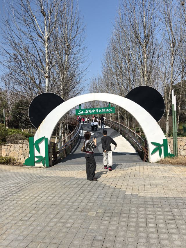 岳阳中华大熊猫苑旅行图片 1