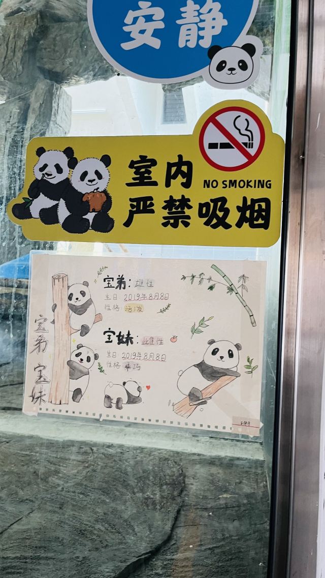 大熊猫馆旅行图片 9