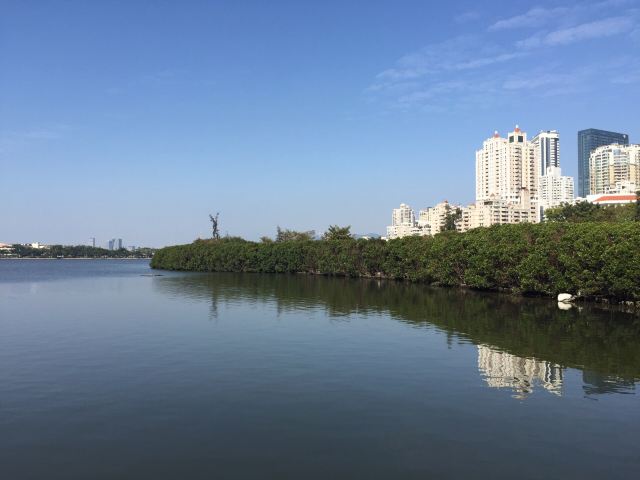 厦门白鹭洲公园旅行图片 2