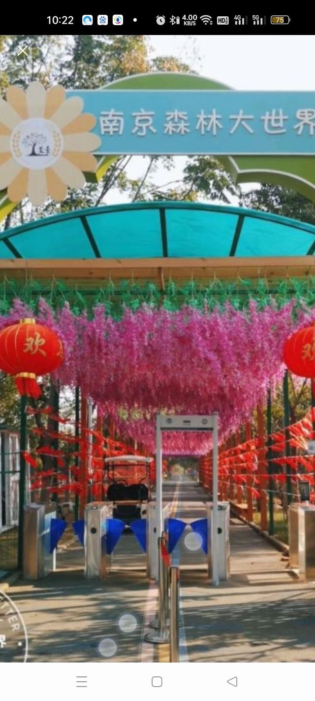 南京森林大世界旅行图片 3