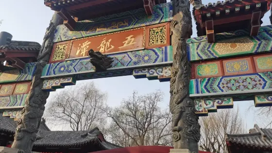 五龍潭