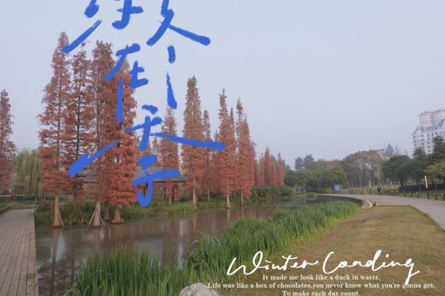 雍湖公园旅行图片 3