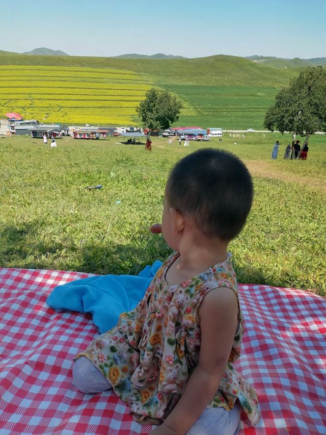 丰宁坝上草原旅行图片 3