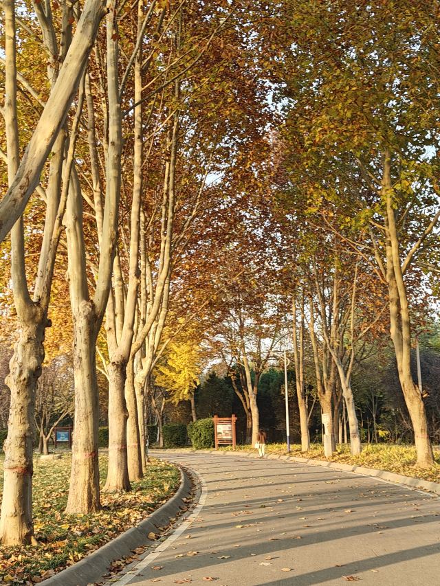石家庄植物园旅行图片 3
