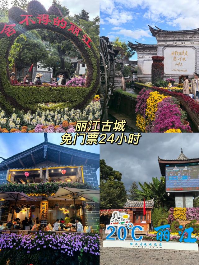 丽江古城旅行图片 5