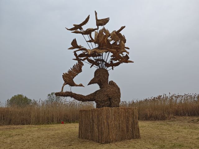 君山岛景区旅行图片 4