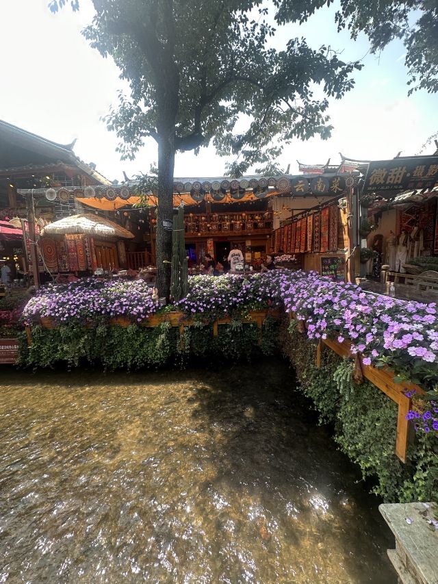 丽江古城旅行图片 3