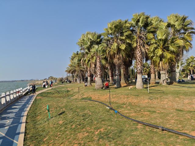 福保小三亚旅行图片 2