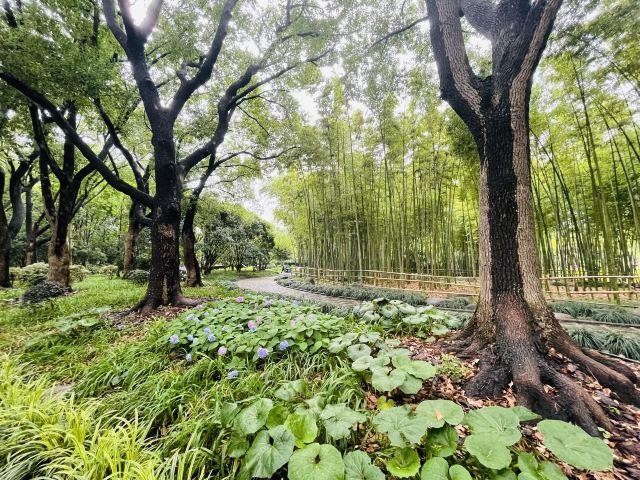 古城公园旅行图片 4