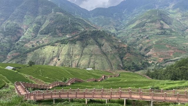新山梯田旅行图片 9