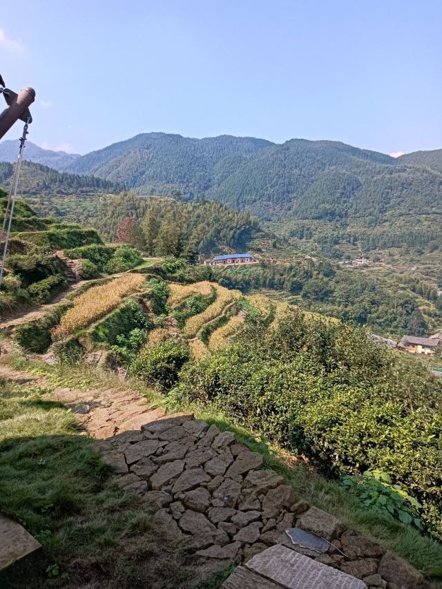 桃源梯田景区旅行图片 1