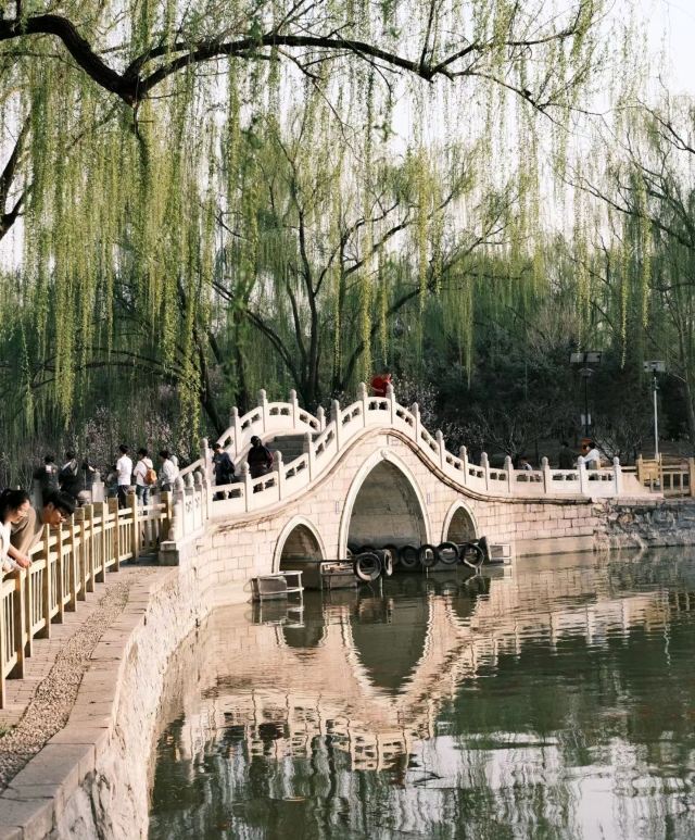 兴隆公园旅行图片 2
