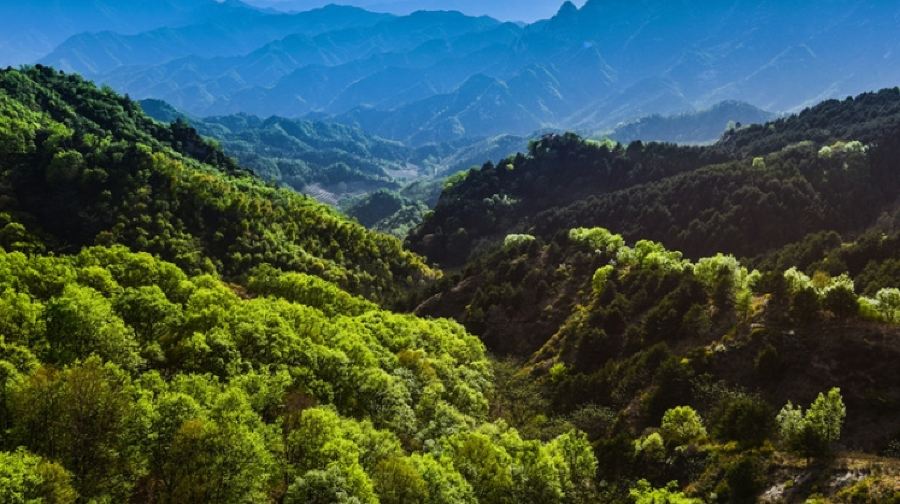灵寿水泉溪自然风景区