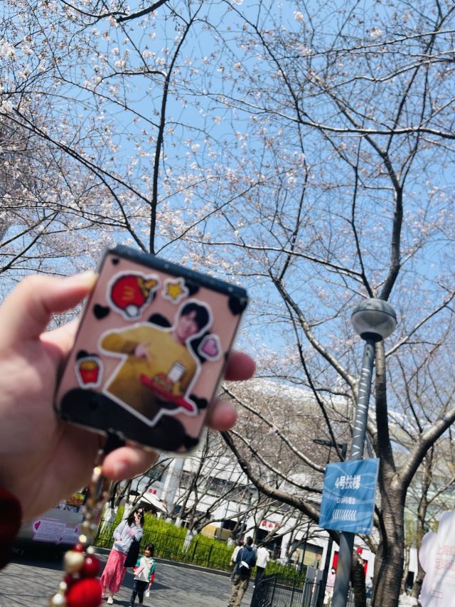 上海鲁迅公园旅行图片 1