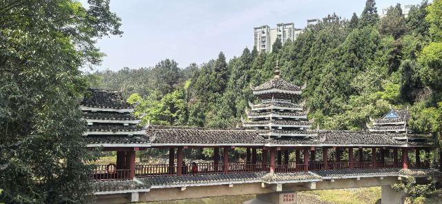 贵阳药用植物园旅行图片 2