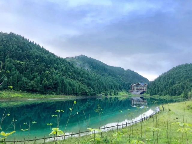 武陵山国家森林公园旅行图片 4