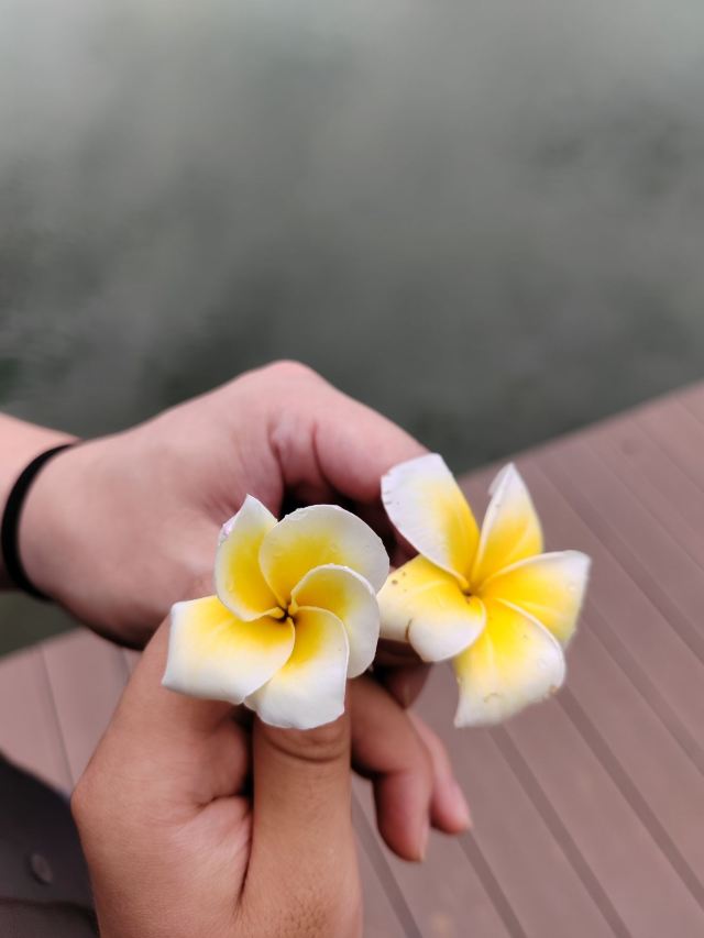 神州半岛旅游度假区旅行图片 1