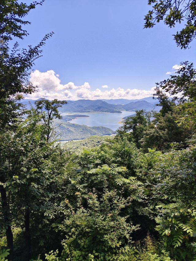 朱雀山国家森林公园旅行图片 4