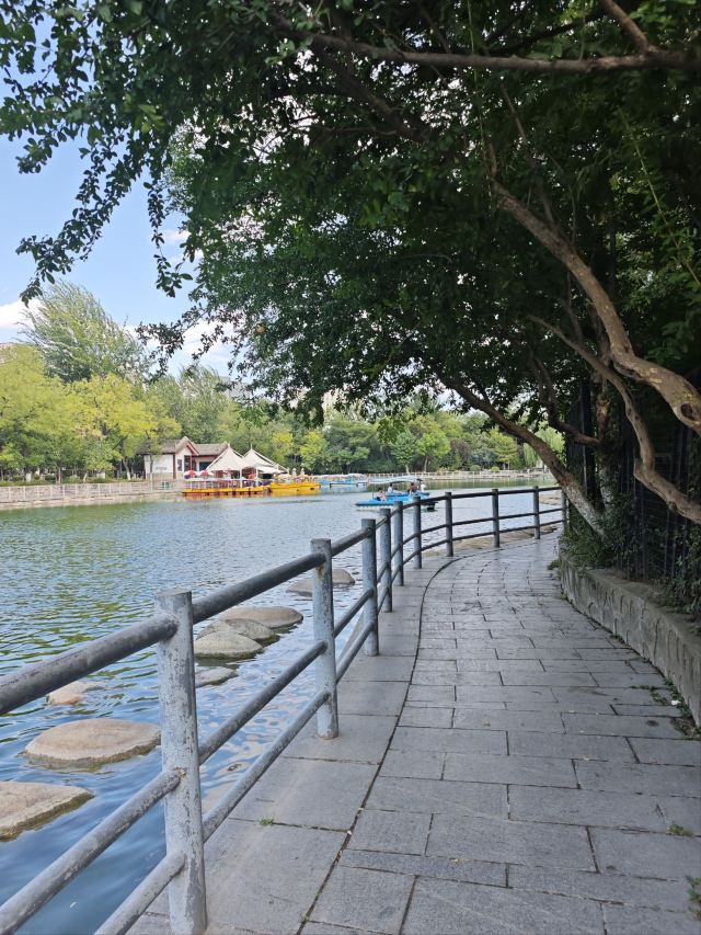 莲湖公园旅行图片 4