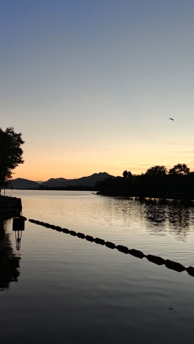 大观公园旅行图片 11