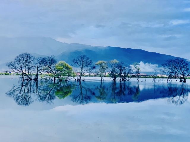 黄龙潭公园旅行图片 5