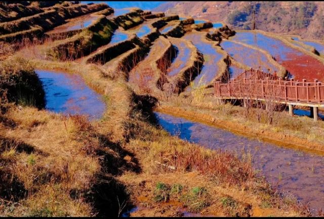 新山梯田旅行图片 2
