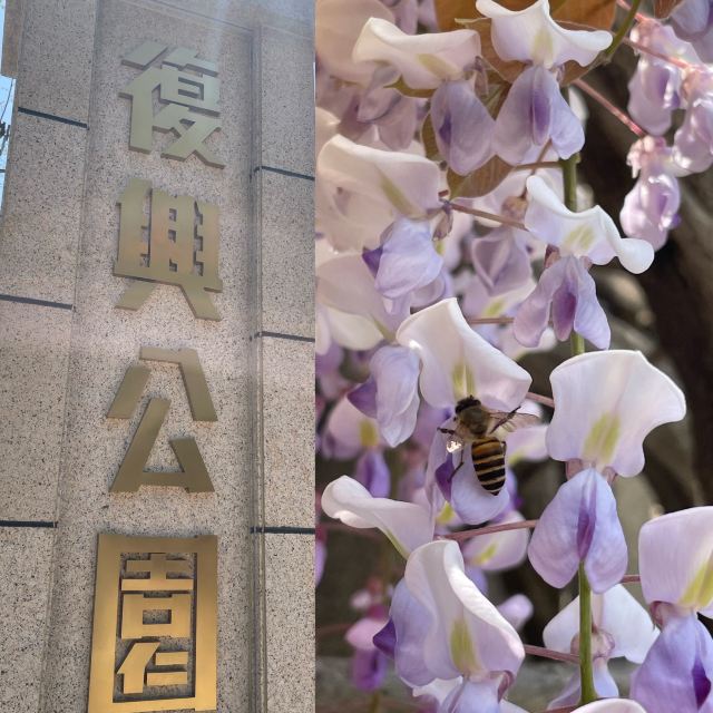 复兴公园旅行图片 1