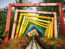 滨湖国家森林公园-合肥-享受生活2013