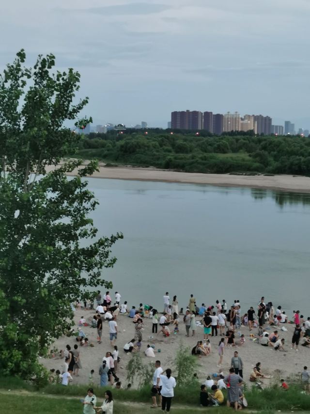 灞渭生态滩区旅行图片 2