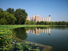 莲花池公园-北京-逸香卿苑凄迷