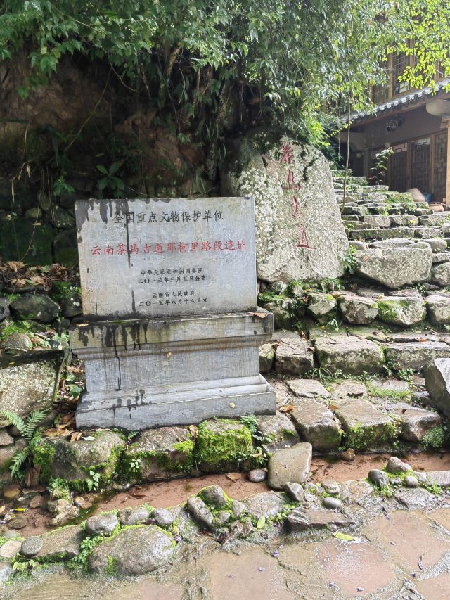 那柯里茶马驿站旅行图片 2