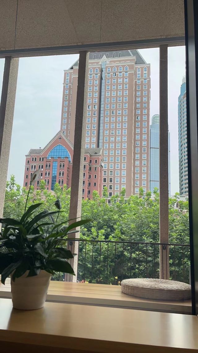 徐家汇大修道院旅行图片 8