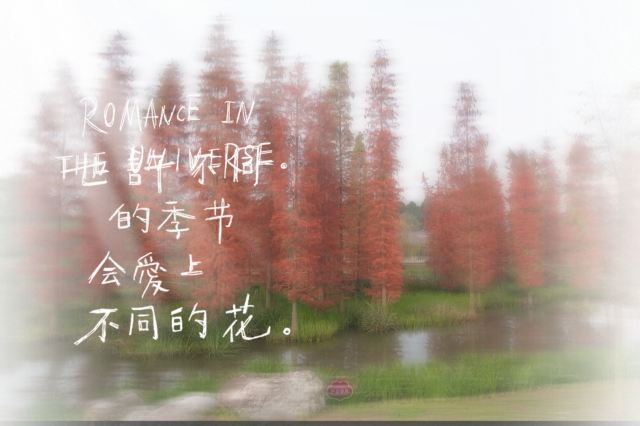 雍湖公园旅行图片 2