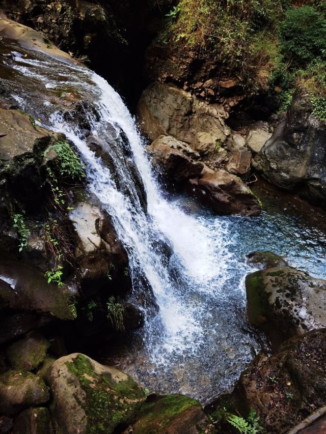 尼珠河大峡谷生态文化旅游区旅行图片 4