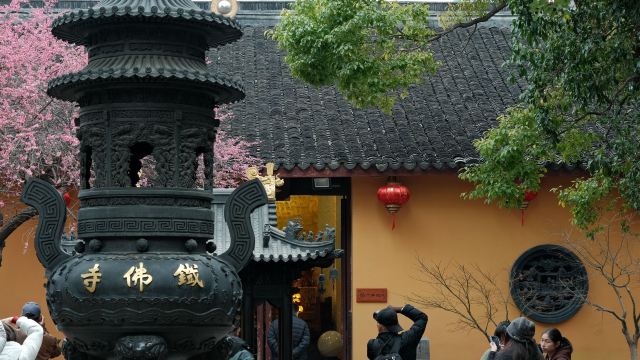 湖州铁佛寺旅行图片 13
