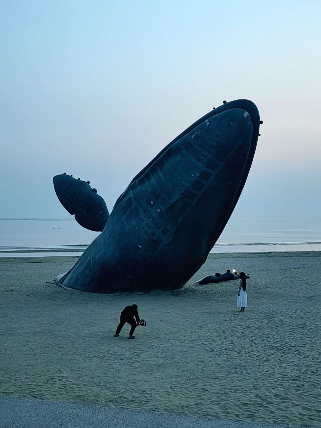 孤独的鲸旅行图片 3
