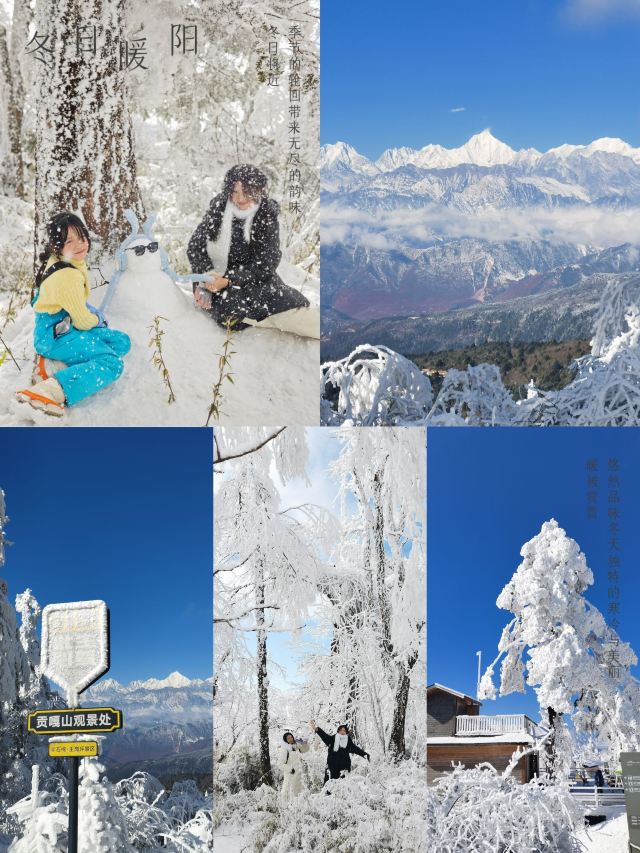 王岗坪旅游景区-露营区旅行图片 1