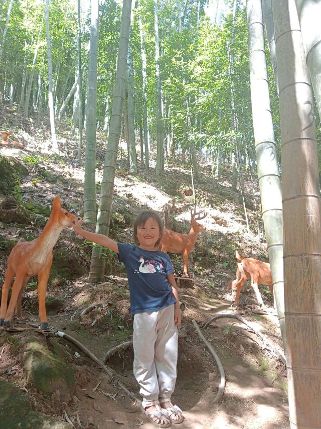 白水仙风景名胜区旅行图片 1