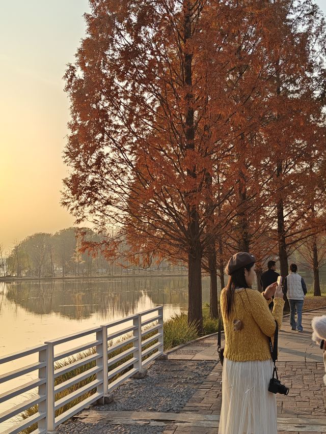 石家庄植物园旅行图片 4