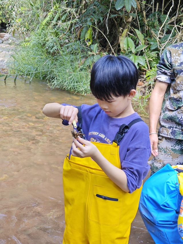 西双版纳纳卡雨林徒步旅行图片 2